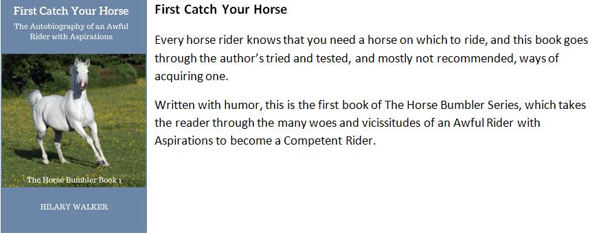 non-fiction-books-bumbler-1-blurb