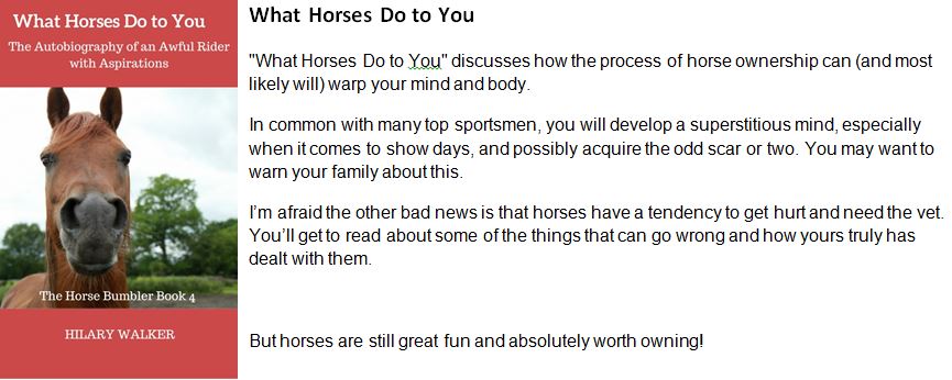 non-fiction-books-bumbler-4-blurb