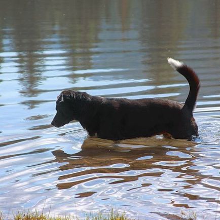 20635460_116427742346037_1089643631175794688_n