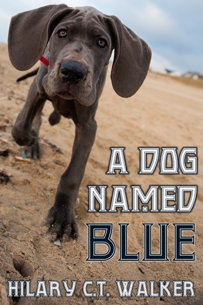 A_Dog_Named_Blue_400x600