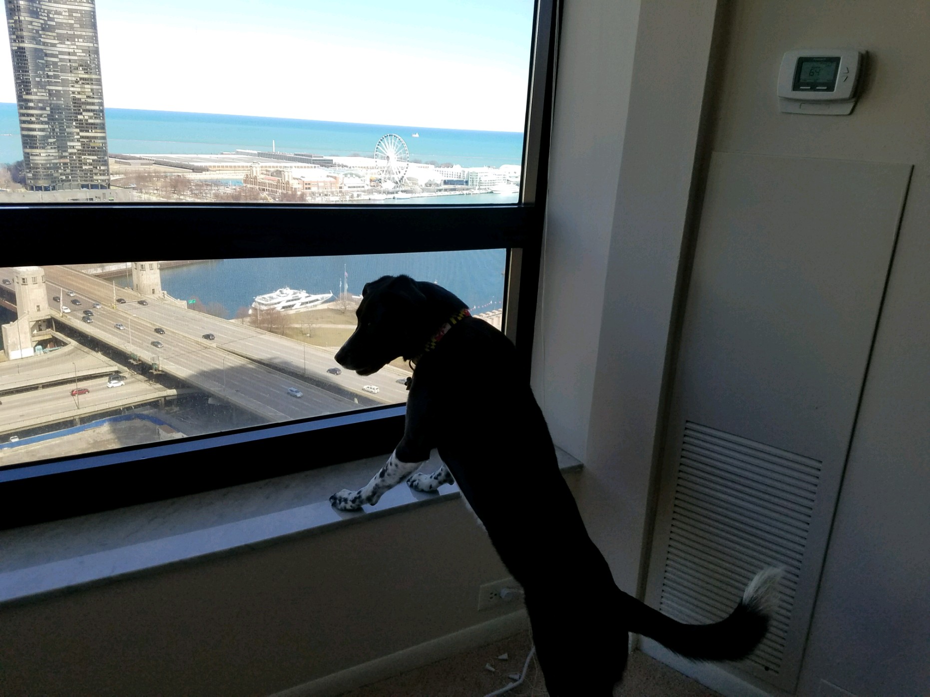 Fly Observes Chicago's Navy Pier