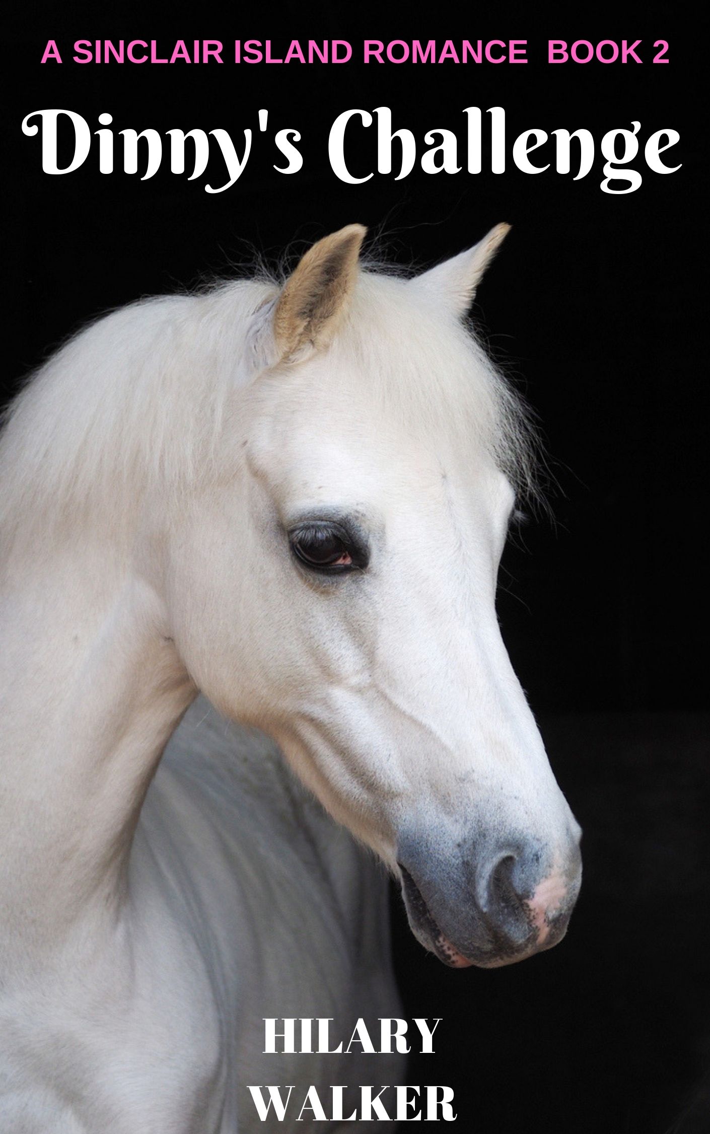 Mock-Up Cover of Dinny's Challenge